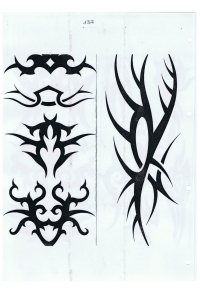 Tatoo Henna 137.jpg