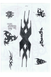 Tatoo Henna 171.jpg