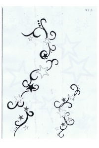 Tatoo Henna 723.jpg