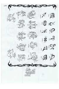 Tatoo Henna 790.R.jpg