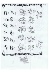 Tatoo Henna 790.jpg