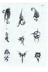 Tatoo Henna 223.jpg