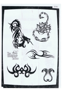 Tatoo Henna 258.jpg