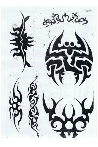 Tatoo Henna 287.jpg