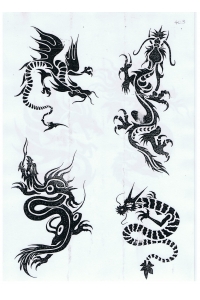 Tatoo Henna 403.jpg