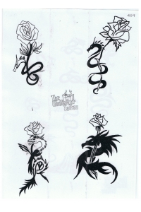 Tatoo Henna 457.jpg