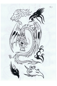 Tatoo Henna 462.jpg