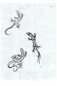 Tatoo Henna 490.jpg