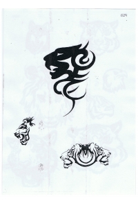 Tatoo Henna 529.jpg